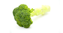 carrot
