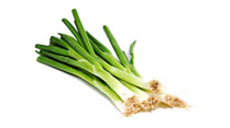 carrot
